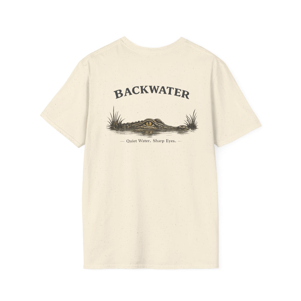 Backwater