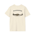 Backwater