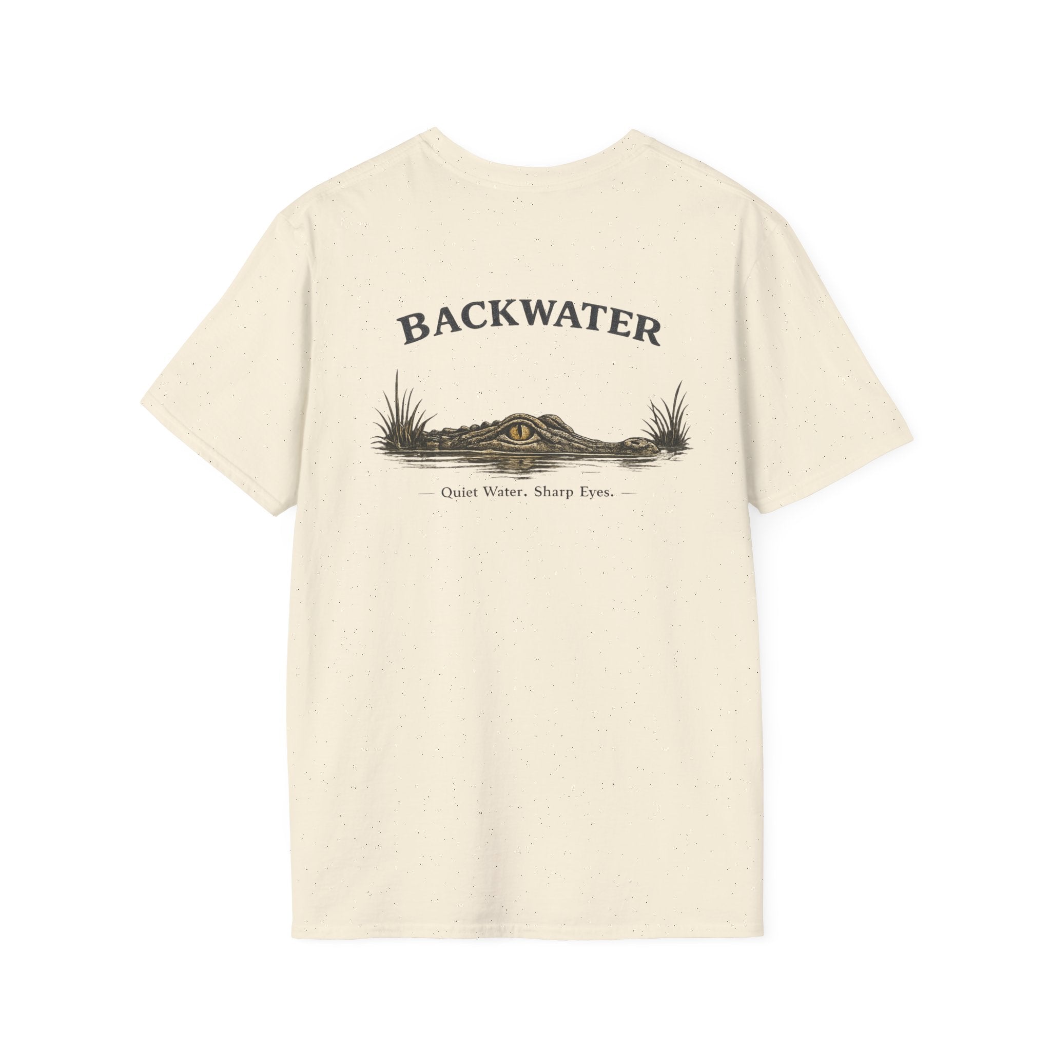 Backwater