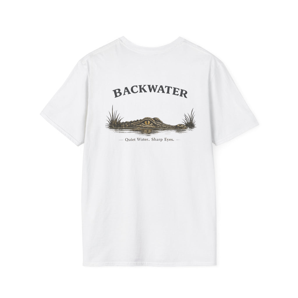 Backwater