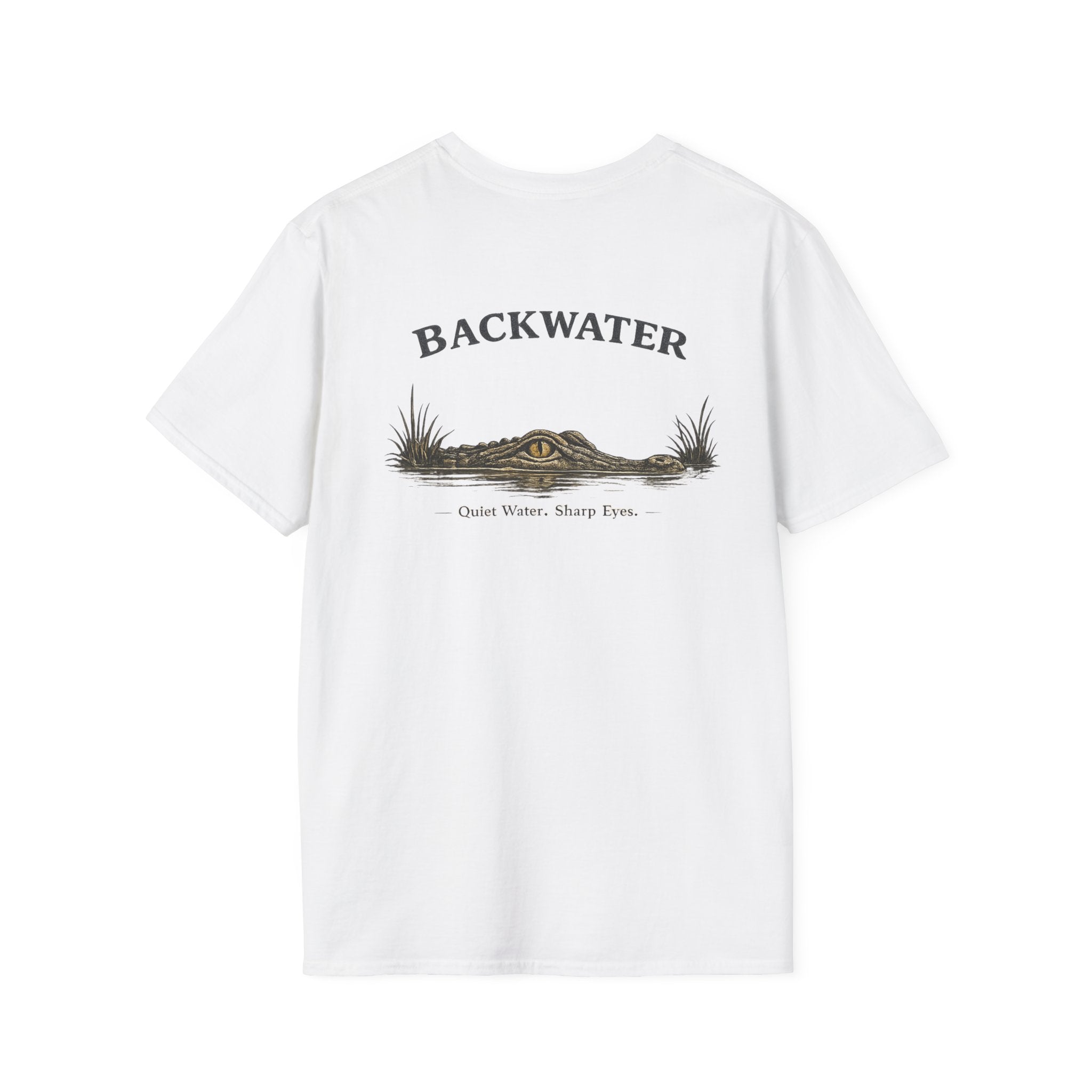 Backwater