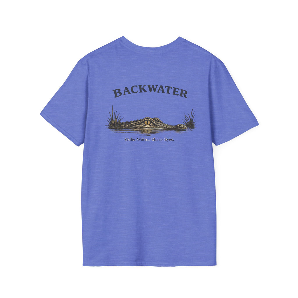 Backwater