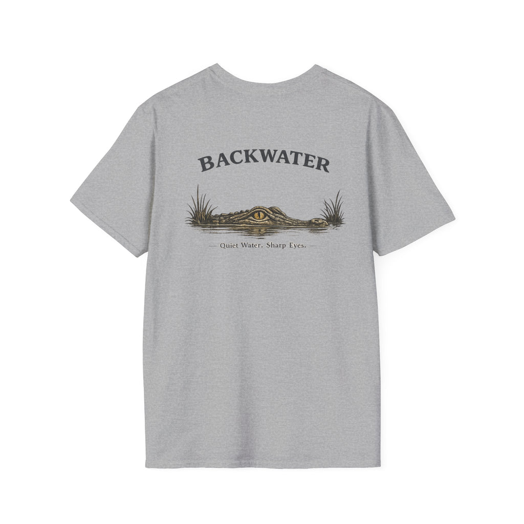 Backwater