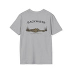 Backwater