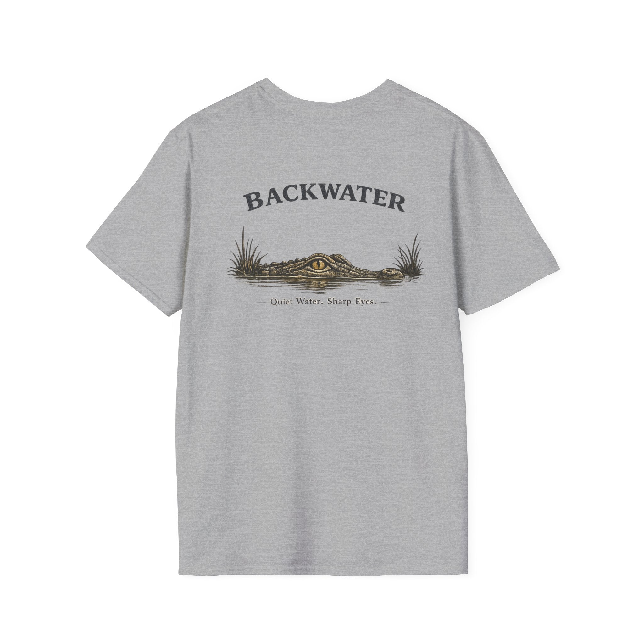 Backwater