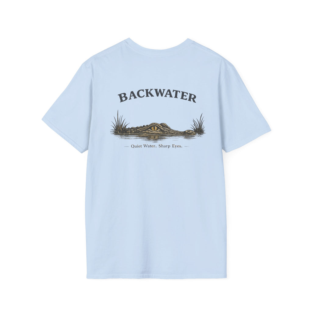 Backwater