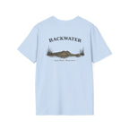 Backwater