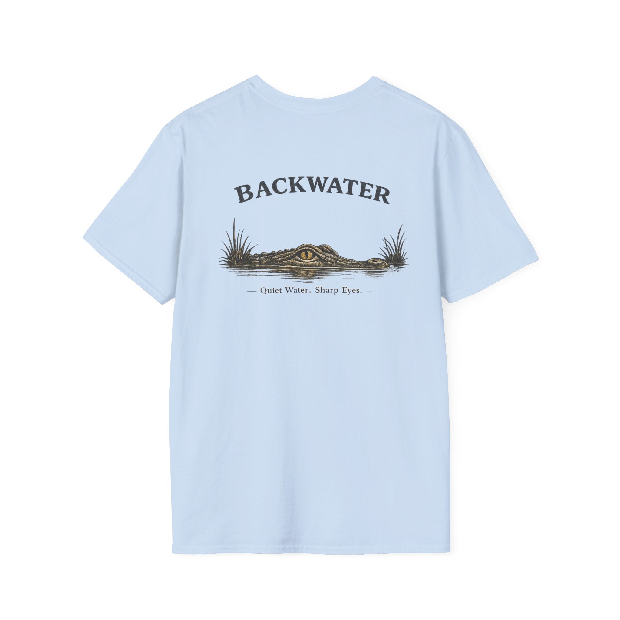 Backwater