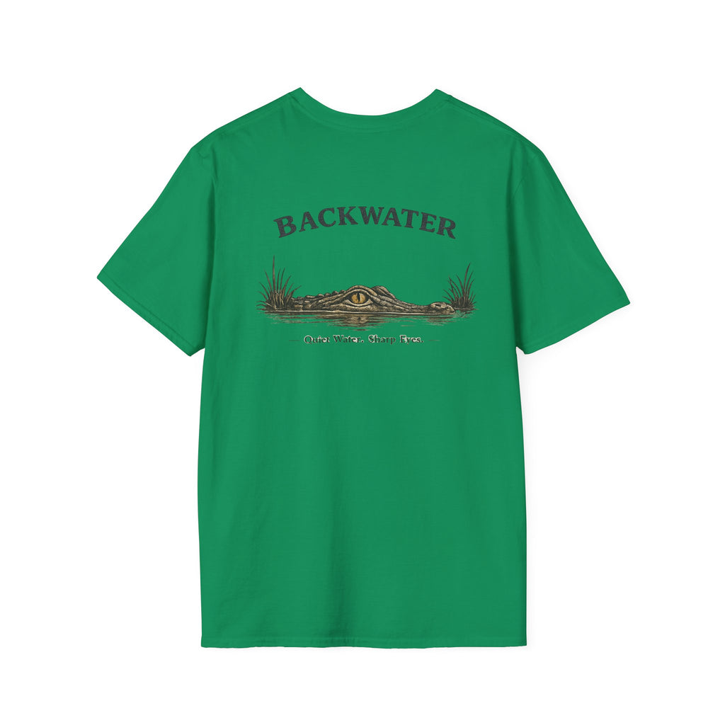 Backwater