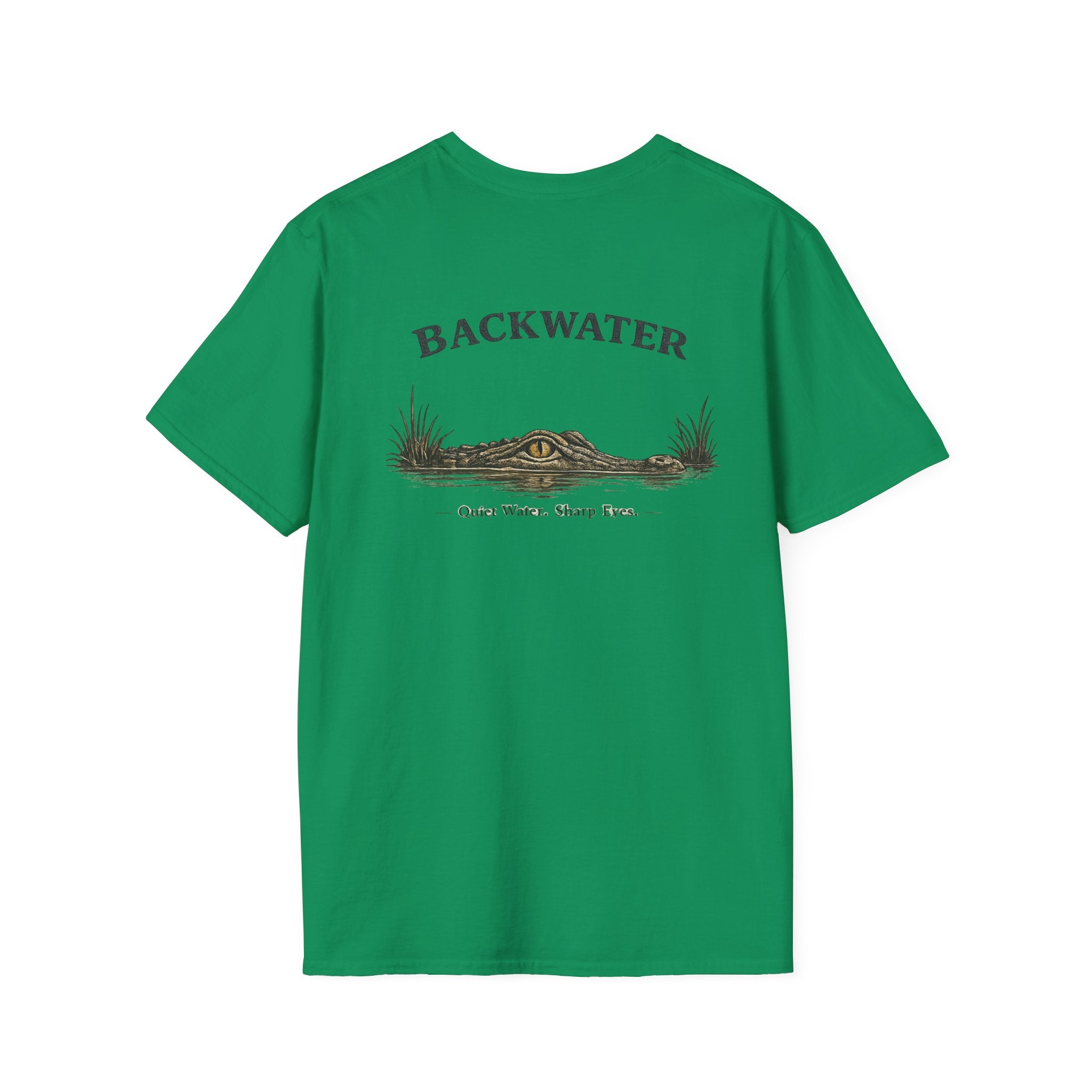 Backwater